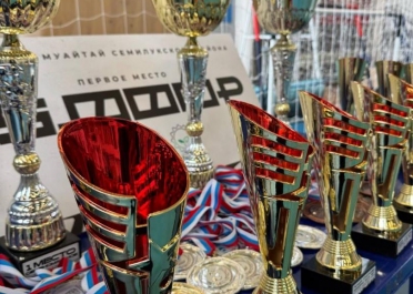 Чемпионат и первенство Семилукского района по муайтай – Один из объектов, построенных компанией АтомИнфо Чемпионат и первенство Семилукского района по муайтай, построенная АтомИнфо